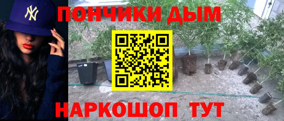 Каннабис марихуана  Конопля индика  МАРИХУАНА THC 21%  Вход с VPN  Малгобек 