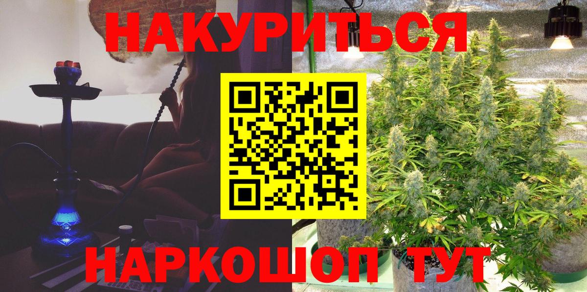 Конопля план Малгобек